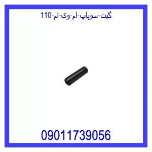 خرید و قیمت گیت سوپاپ ام وی ام 110 از جک کارز شاپ